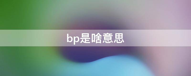 bp是啥意思 行政bp是啥意思