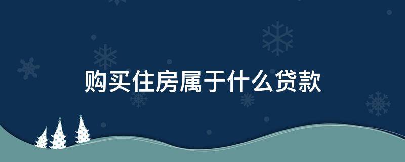 购买住房属于什么贷款（个人购住房贷款属于什么）