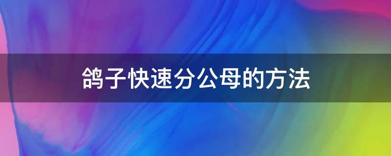 鸽子快速分公母的方法（鸽子分公母最简单方法图片）