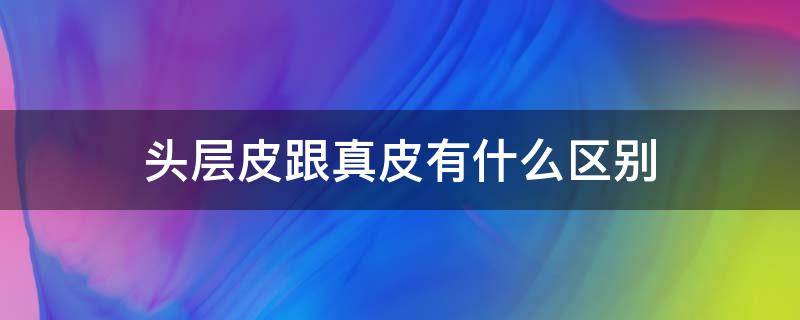 头层皮跟真皮有什么区别 头层真皮和仿真皮的区别