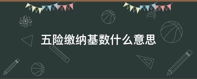 五险缴纳基数什么意思（五险的缴费基数是什么意思）