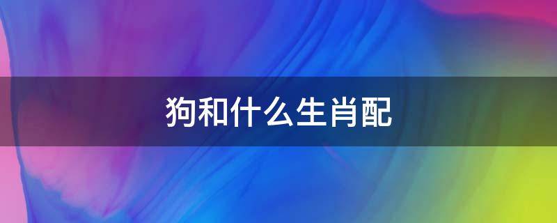 狗和什么生肖配 82年属狗和什么生肖配