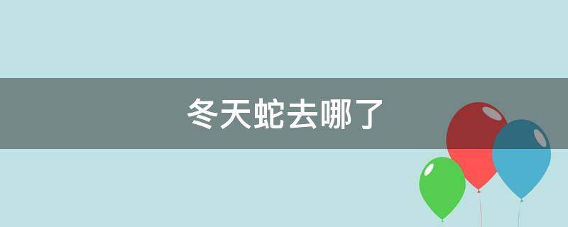 冬天蛇去哪了（冬天蛇去哪了?）