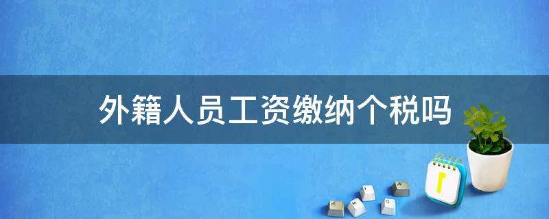 外籍人员工资缴纳个税吗 外籍员工在中国需要交个税吗