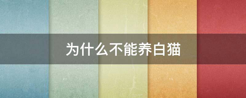 为什么不能养白猫 为什么不能养白猫黑狗