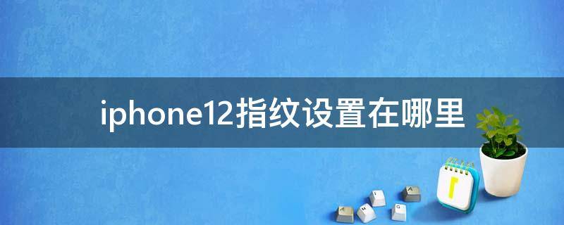 iphone12指纹设置在哪里 苹果12的指纹设置在哪里