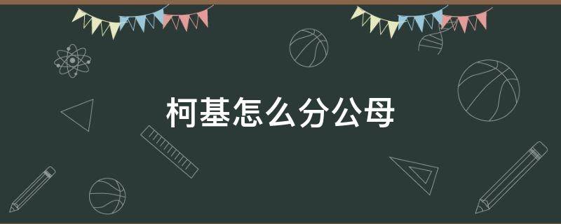 柯基怎么分公母 柯基怎么分公母狗图片