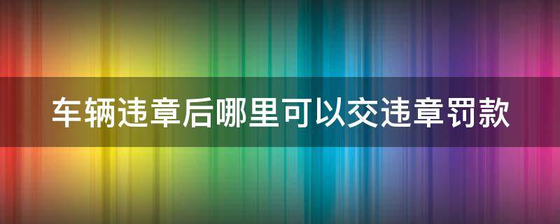 车辆违章后哪里可以交违章罚款 车辆违章后哪里可以交违章罚款呢