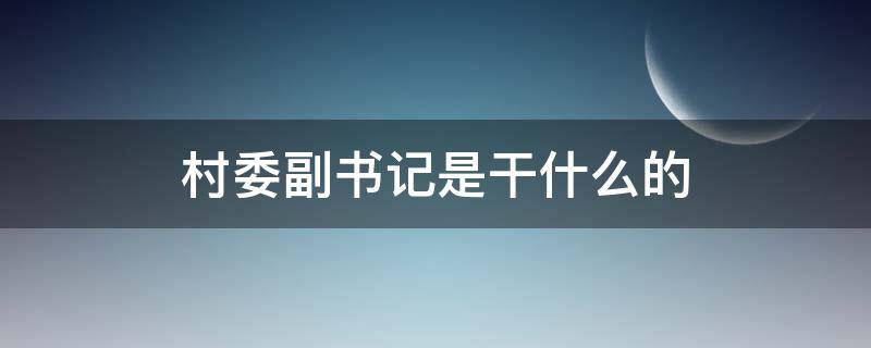 村委副书记是干什么的 村副书记主要干什么