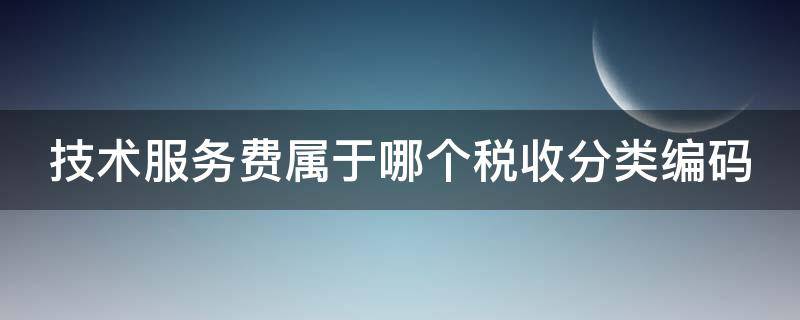 技术服务费属于哪个税收分类编码 技术服务费属于哪个税收分类编码类别