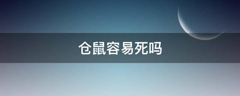 仓鼠容易死吗（三线仓鼠容易死吗）