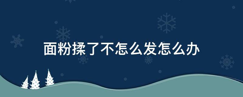 面粉揉了不怎么发怎么办 揉的面不发怎么办