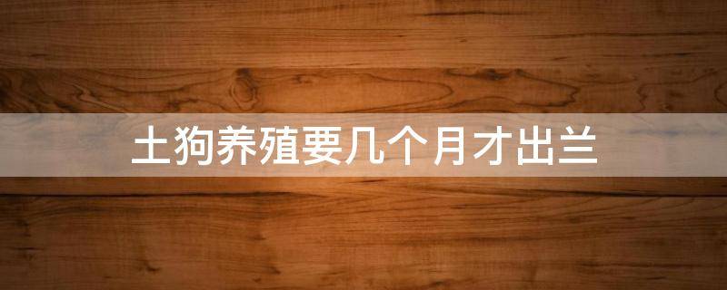 土狗养殖要几个月才出兰 土狗要养多久才可以出货