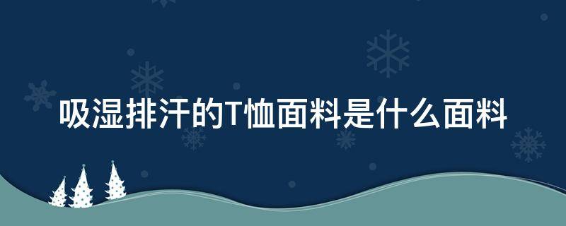 吸湿排汗的T恤面料是什么面料（衣服透气吸汗是什么面料?）