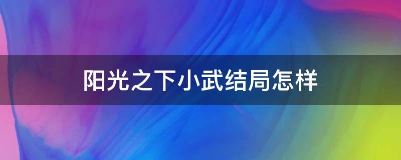 阳光之下小武结局怎样 阳光之下为什么小武是男主