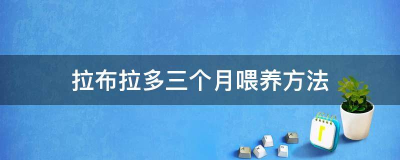 拉布拉多三个月喂养方法 拉布拉多三个月怎么喂养