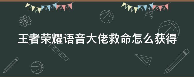 王者荣耀语音大佬救命怎么获得 王者荣耀语音大佬救命怎么获得皮肤