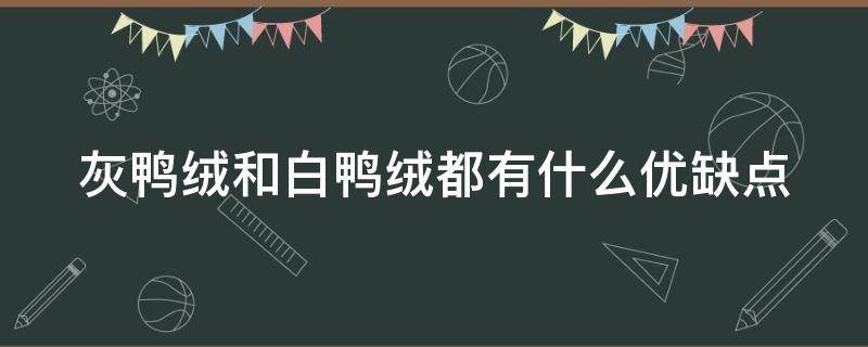 灰鸭绒和白鸭绒都有什么优缺点（灰鸭绒和白鸭绒的区别在哪里）