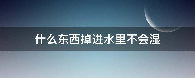 什么东西掉进水里不会湿（什么东西掉进水里不会湿谜底）