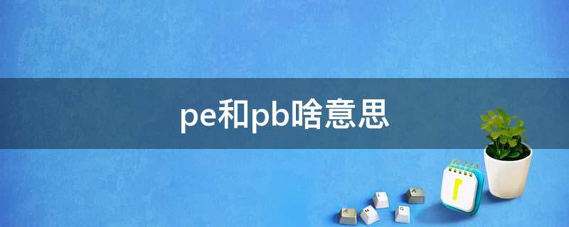 pe和pb啥意思（pe/pb 是什么意思）