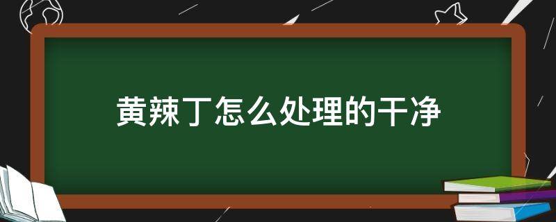 黄辣丁怎么处理的干净 黄辣丁怎么收拾