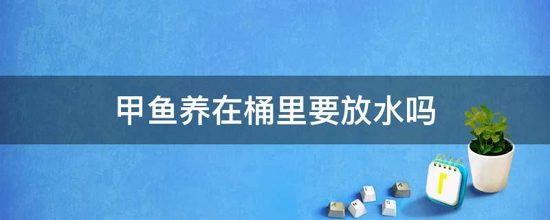 甲鱼养在桶里要放水吗 甲鱼能放桶里用水养着吗