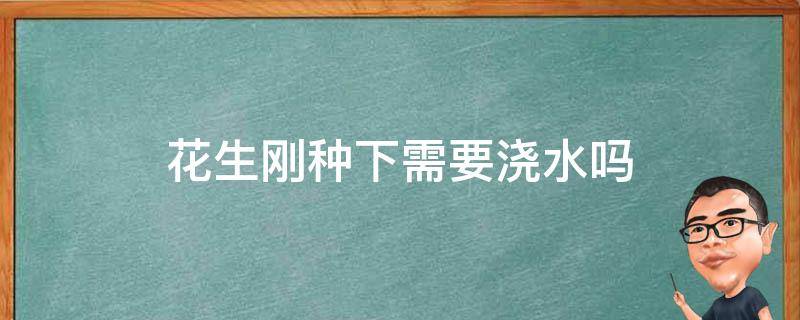 花生刚种下需要浇水吗 花生种完浇水吗