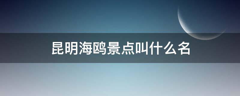 昆明海鸥景点叫什么名 昆明有海鸥的地方是哪里