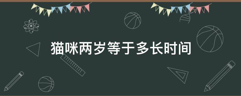 猫咪两岁等于多长时间 猫两岁有多大