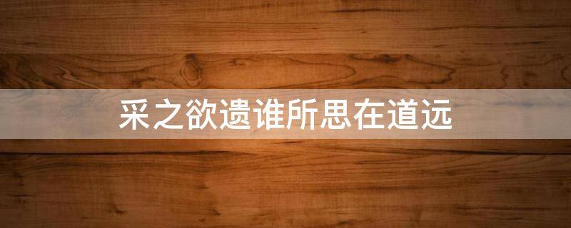 采之欲遗谁所思在道远 采之欲遗谁,所思在远方