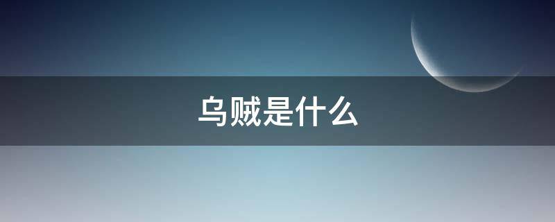 乌贼是什么（乌贼是什么意思）