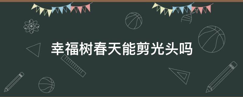 幸福树春天能剪光头吗 幸福树剪光了还能活吗