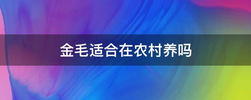 金毛适合在农村养吗 金毛在农村好养吗