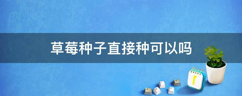 草莓种子直接种可以吗 草莓种子直接种可以吗,放在阳光下可以吗