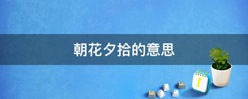 朝花夕拾的意思（动辄获咎在朝花夕拾的意思）