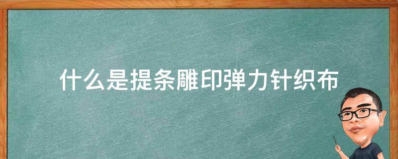 什么是提条雕印弹力针织布 弹力印花布料