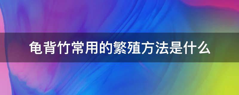 龟背竹常用的繁殖方法是什么（龟背竹的养殖方法和注意事项有哪些）