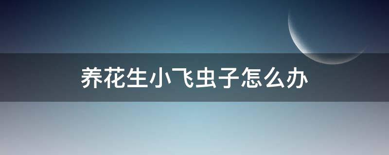 养花生小飞虫子怎么办 鲜花生小飞虫子怎么办