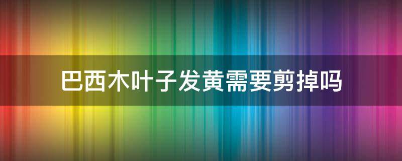 巴西木叶子发黄需要剪掉吗（巴西木有黄叶怎么处理）