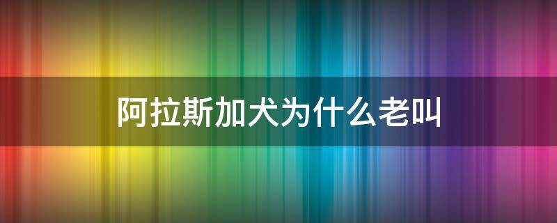 阿拉斯加犬为什么老叫（阿拉斯加幼犬为什么老叫）