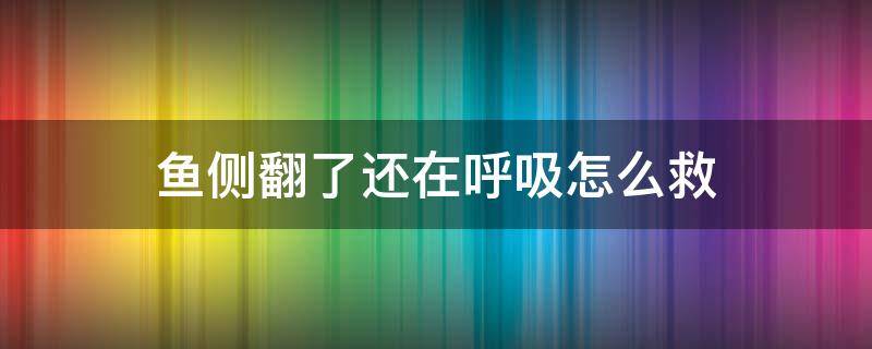 鱼侧翻了还在呼吸怎么救 夏天鱼侧翻了还在呼吸怎么救