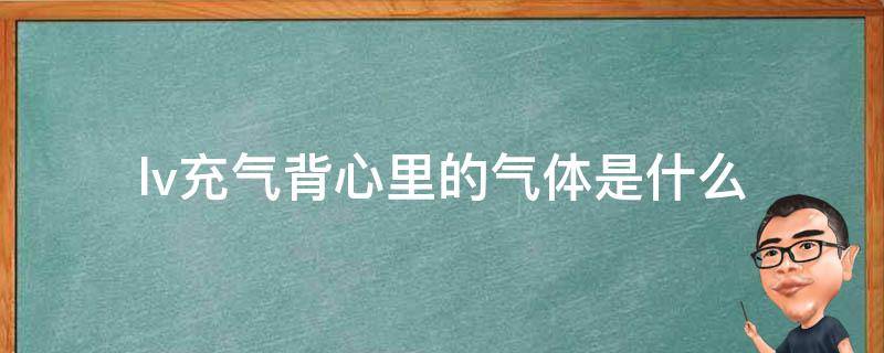 lv充气背心里的气体是什么 LV帆布充气背心