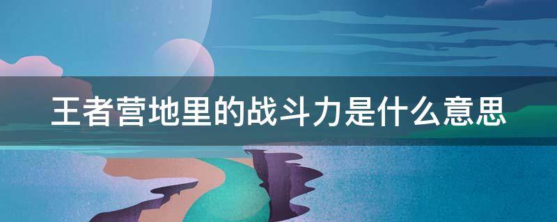 王者营地里的战斗力是什么意思（王者营地里面的战斗力是什么意思）