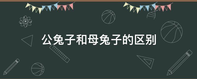 公兔子和母兔子的区别 公兔子和母兔子怎么区分?