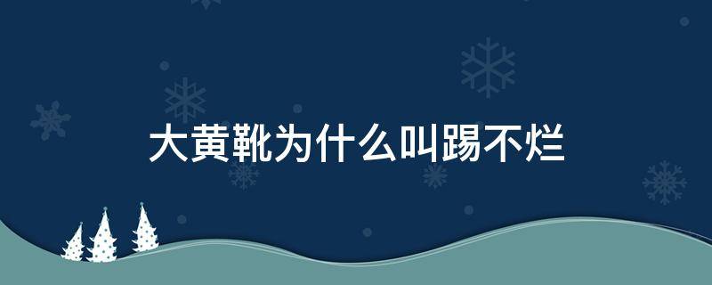 大黄靴为什么叫踢不烂 大黄靴 踢不烂