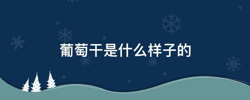 葡萄干是什么样子的 葡萄干的样子是什么样子的