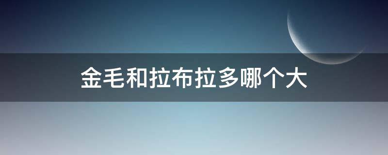 金毛和拉布拉多哪个大（金毛跟拉布拉多哪个大）