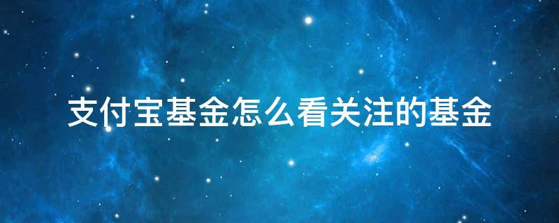 支付宝基金怎么看关注的基金 支付宝里面的基金怎么关注