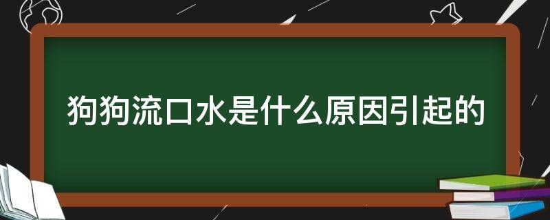 狗狗流口水是什么原因引起的 狗狗流口水是因为什么