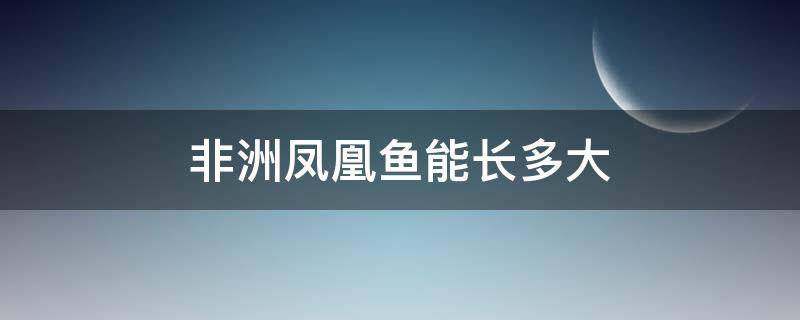 非洲凤凰鱼能长多大 非洲凤凰慈鲷鱼能长多大